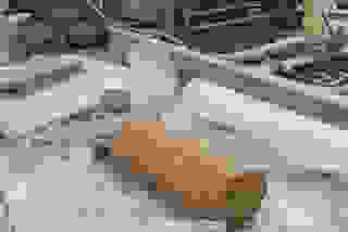 Экспертиза, инженерные изыскания, лицензирование, сертификация в Москве - ПромМск, цены от 11634 руб. 2025 г. Московской области